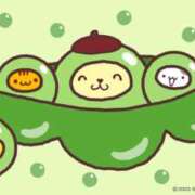 ヒメ日記 2025/05/06 11:58 投稿 ひまり 奥鉄オクテツ和歌山