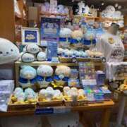 ヒメ日記 2025/07/25 13:20 投稿 ひまり 奥鉄オクテツ和歌山