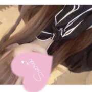 ヒメ日記 2025/09/29 13:35 投稿 ひまり 奥鉄オクテツ和歌山