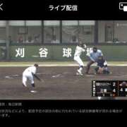 ヒメ日記 2025/10/25 11:15 投稿 ひまり 奥鉄オクテツ和歌山