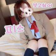 ヒメ日記 2025/11/05 13:18 投稿 ひまり 奥鉄オクテツ和歌山