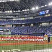 ヒメ日記 2025/11/06 12:50 投稿 ひまり 奥鉄オクテツ和歌山