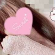 ヒメ日記 2025/11/07 08:41 投稿 ひまり 奥鉄オクテツ和歌山