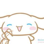 ヒメ日記 2025/11/14 11:36 投稿 ひまり 奥鉄オクテツ和歌山