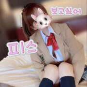 ヒメ日記 2025/11/27 12:16 投稿 ひまり 奥鉄オクテツ和歌山