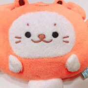 ヒメ日記 2025/12/04 11:48 投稿 ひまり 奥鉄オクテツ和歌山