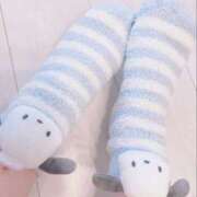 ヒメ日記 2025/12/08 17:05 投稿 ひまり 奥鉄オクテツ和歌山