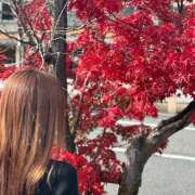 ヒメ日記 2025/11/30 21:18 投稿 菅原青葉 五十路マダムエクスプレス船橋店(カサブランカグループ)