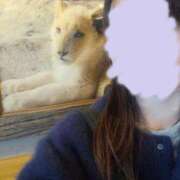 ヒメ日記 2024/12/19 07:53 投稿 ほの 逢って30秒で即尺