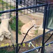 ヒメ日記 2025/04/05 08:22 投稿 ほの 逢って30秒で即尺