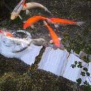 ヒメ日記 2025/08/09 08:48 投稿 ほの 逢って30秒で即尺