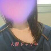 ヒメ日記 2026/04/16 09:39 投稿 ほの 逢って30秒で即尺