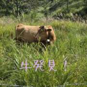 ヒメ日記 2026/10/11 21:30 投稿 ほの 逢って30秒で即尺