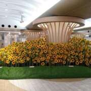 ヒメ日記 2025/07/23 09:41 投稿 サツキ ドMな奥さん 日本橋店