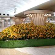 ヒメ日記 2025/07/24 16:10 投稿 サツキ ドMな奥さん 日本橋店