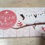 ヒメ日記 2025/07/27 13:48 投稿 サツキ ドMな奥さん 日本橋店