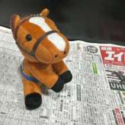 ヒメ日記 2024/12/07 09:45 投稿 ひろこ 横浜おかあさん