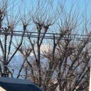 ヒメ日記 2024/12/23 10:33 投稿 ひろこ 横浜おかあさん