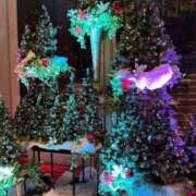 ヒメ日記 2024/12/24 10:05 投稿 ひろこ 横浜おかあさん