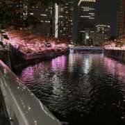 ヒメ日記 2024/12/24 11:25 投稿 ひろこ 横浜おかあさん