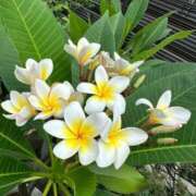 ヒメ日記 2024/12/25 13:45 投稿 ひろこ 横浜おかあさん