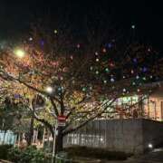 ヒメ日記 2024/12/31 18:45 投稿 ひろこ 横浜おかあさん