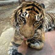 ヒメ日記 2025/01/07 15:09 投稿 ひろこ 横浜おかあさん