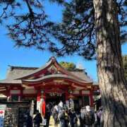 ヒメ日記 2025/01/09 10:51 投稿 ひろこ 横浜おかあさん