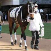 ヒメ日記 2025/01/29 10:05 投稿 ひろこ 横浜おかあさん