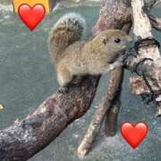 ヒメ日記 2025/01/31 10:05 投稿 ひろこ 横浜おかあさん