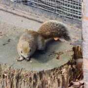 ヒメ日記 2025/02/08 10:36 投稿 ひろこ 横浜おかあさん