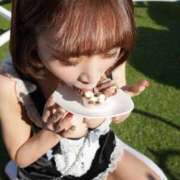 ヒメ日記 2025/12/24 12:07 投稿 あやこ Noble