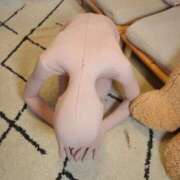 ヒメ日記 2026/02/28 20:45 投稿 あやこ Noble