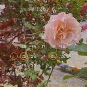 ヒメ日記 2026/06/01 20:55 投稿 あやこ Noble