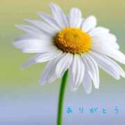 ヒメ日記 2025/02/27 12:17 投稿 わた 熟女の風俗最終章 本厚木店