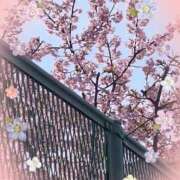 ヒメ日記 2025/03/15 08:30 投稿 わた 熟女の風俗最終章 本厚木店