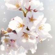 ヒメ日記 2025/03/30 19:11 投稿 わた 熟女の風俗最終章 本厚木店