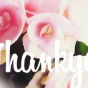 ヒメ日記 2025/04/10 07:52 投稿 わた 熟女の風俗最終章 本厚木店