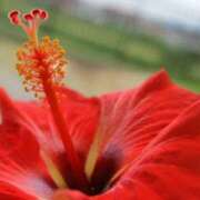 ヒメ日記 2025/07/03 06:53 投稿 わた 熟女の風俗最終章 本厚木店