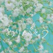 ヒメ日記 2025/07/31 20:12 投稿 わた 熟女の風俗最終章 本厚木店