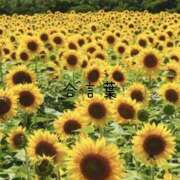 ヒメ日記 2025/08/11 07:05 投稿 わた 熟女の風俗最終章 本厚木店