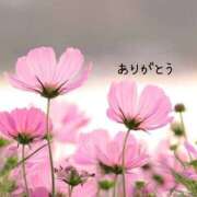 ヒメ日記 2025/09/02 19:21 投稿 わた 熟女の風俗最終章 本厚木店