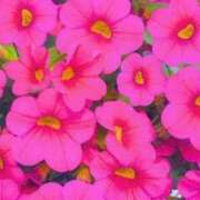 ヒメ日記 2025/09/18 07:35 投稿 わた 熟女の風俗最終章 本厚木店