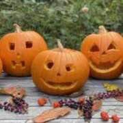 ヒメ日記 2025/10/31 08:32 投稿 わた 熟女の風俗最終章 本厚木店