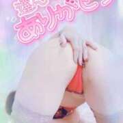 ヒメ日記 2025/04/11 03:20 投稿 楓　かえで（40） 出会い系人妻ネットワーク 熊谷編