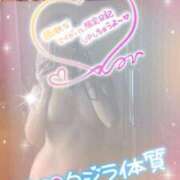 ヒメ日記 2025/06/18 08:50 投稿 楓　かえで（40） 出会い系人妻ネットワーク 熊谷編