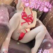 ヒメ日記 2026/04/25 07:00 投稿 楓　かえで（40） 出会い系人妻ネットワーク 熊谷編