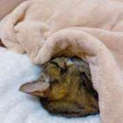 ヒメ日記 2025/01/06 16:39 投稿 めい マダム可憐