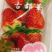 ヒメ日記 2025/02/18 01:04 投稿 めい マダム可憐