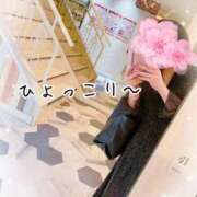 ヒメ日記 2025/03/30 16:03 投稿 めい マダム可憐